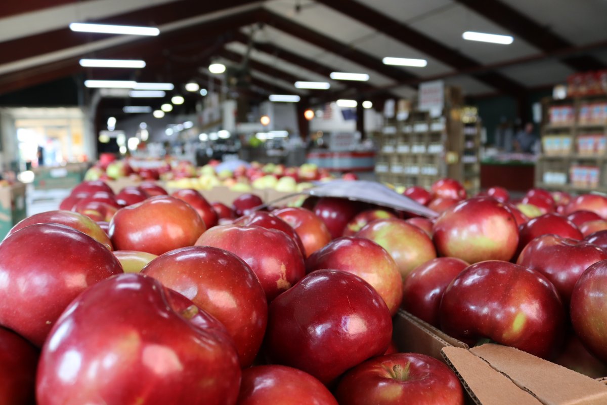 Time to Visit the Apple Orchards in the Apple Capital of Wisconsin!