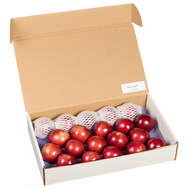 Apple Gift Boxes for Gifts for Business Gifts