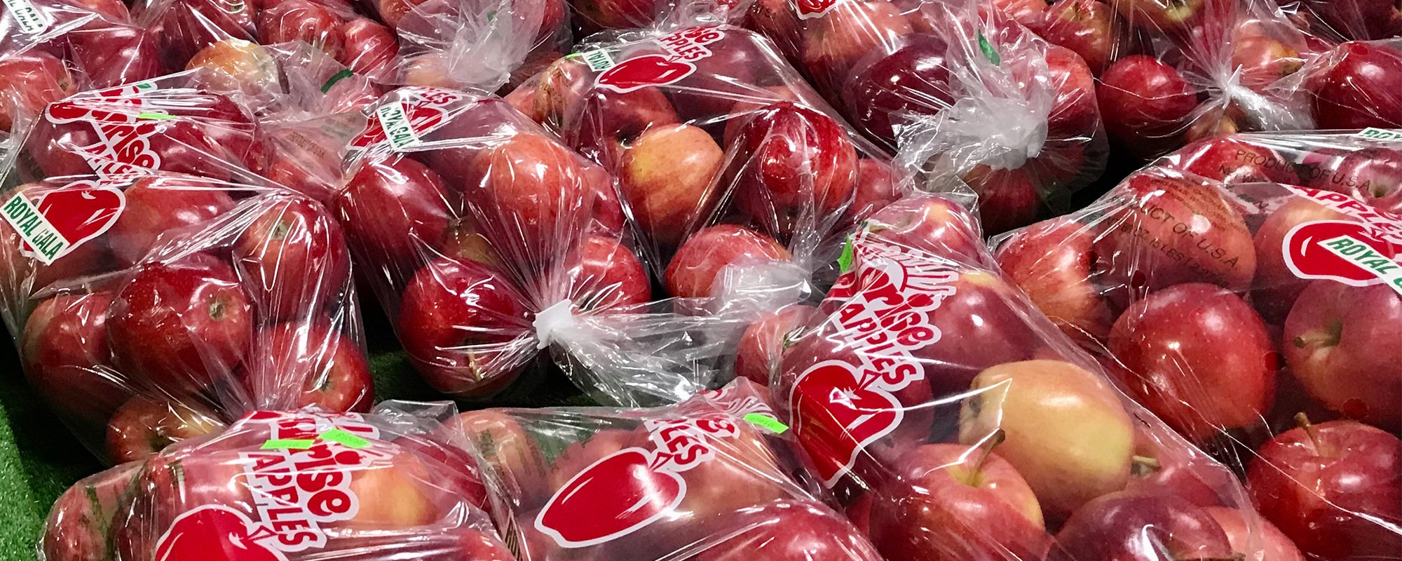 Royal Gala Apples for sale at Sunrise Orchards