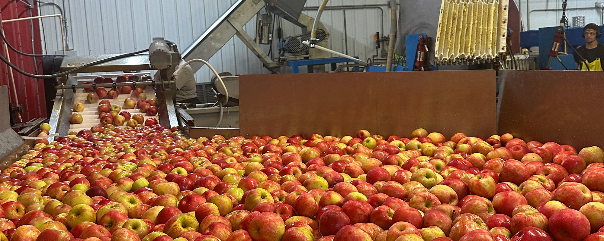 Making Apple Cider at Sunrise Orchards