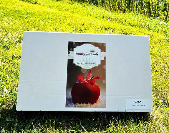 Apple Gift Boxes