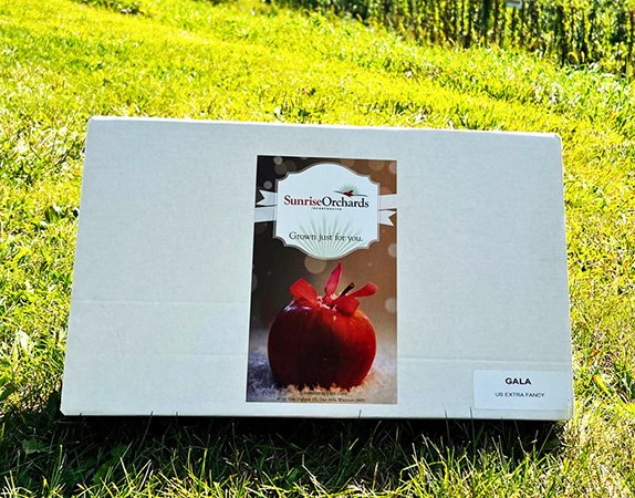 Apple Gift Boxes