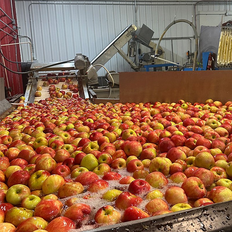 Pressing Cider