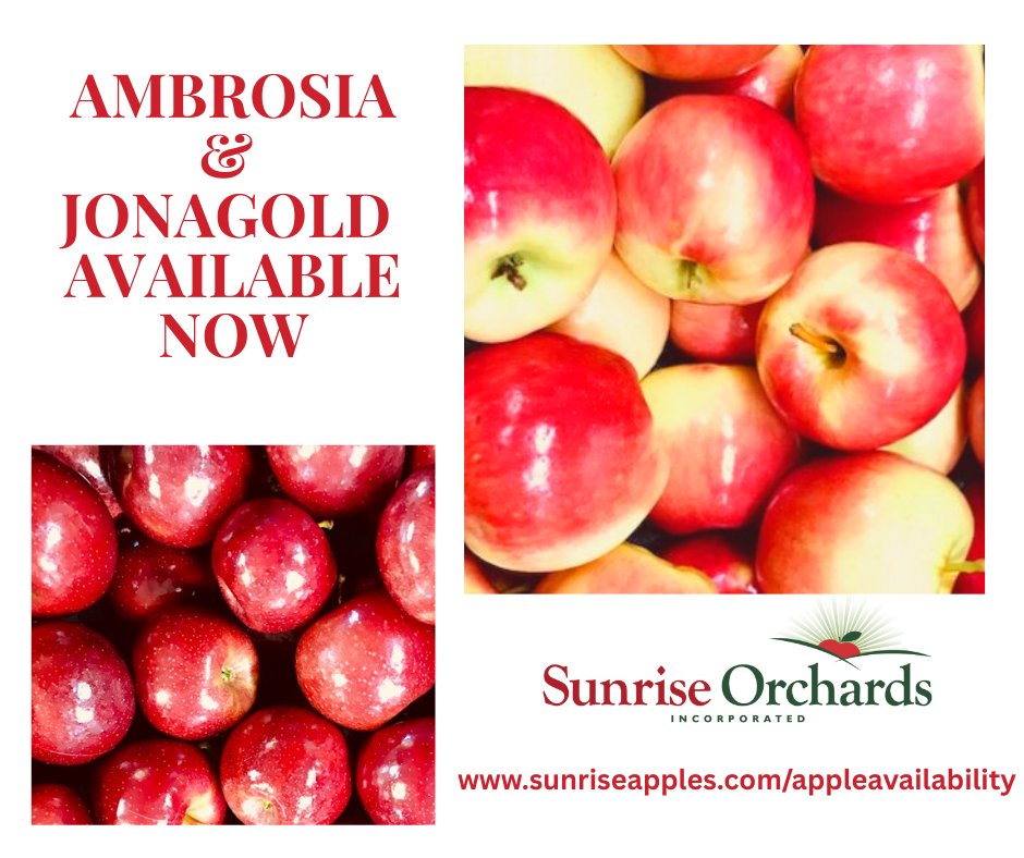 Ambrosia & Jonagold Apples Available!