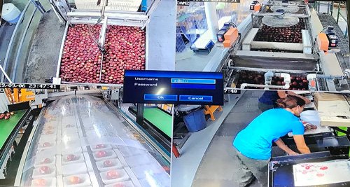 Apple Packing TV
