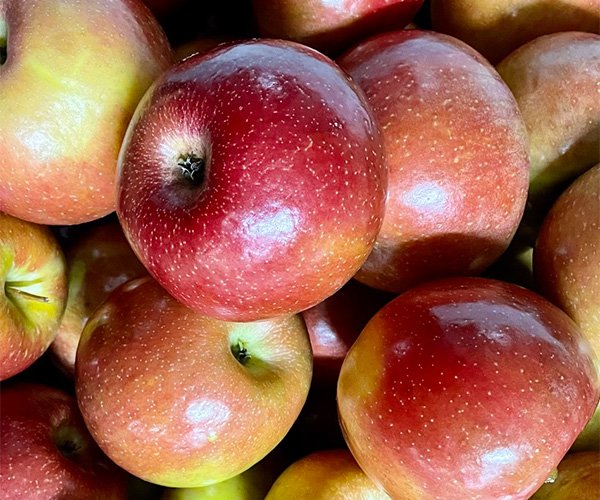 EverCrisp Apple Subscription
