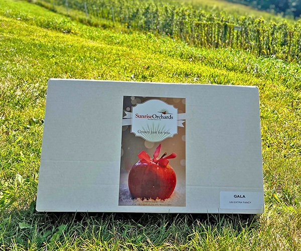 Apple Gift Boxes