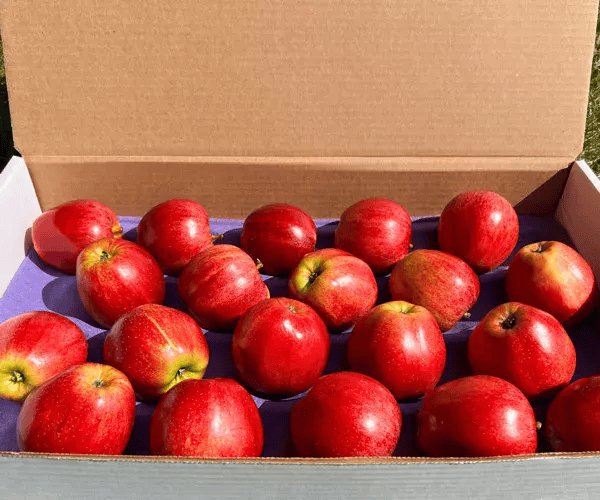 Home Delivery Apples – Don’t Miss Out!