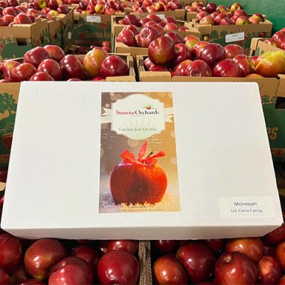 Apple Gift Boxes