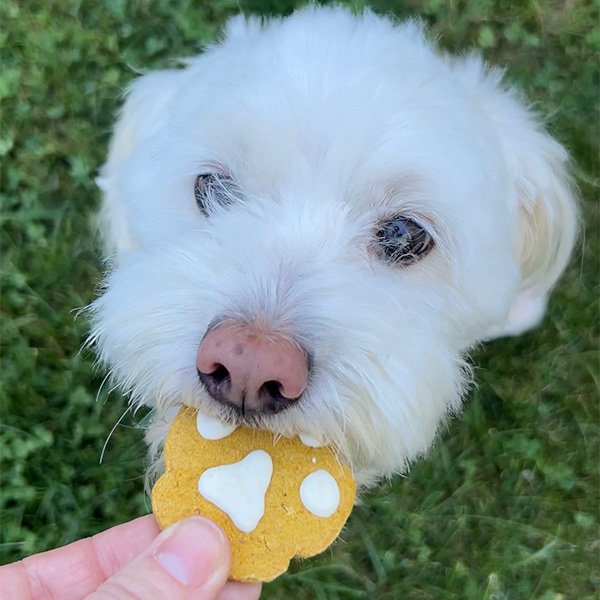 Gifts for Dog Lovers at Sunrise Orchards