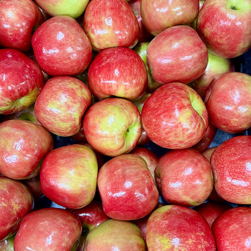Honeycrisp Apples at Sunrise Orchards