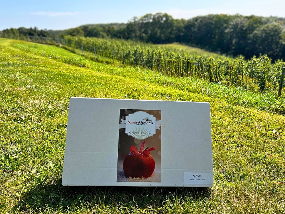 Apple Gift Boxes