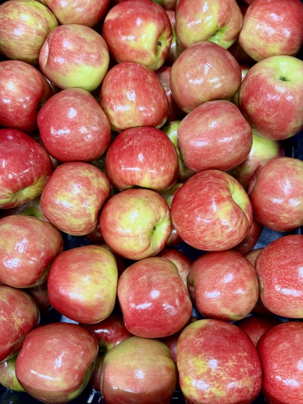 🍎 WHAT APPLES ARE STILL AVAILABLE?