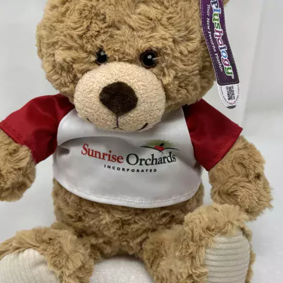 Plush Toy Teddy Bear-9"