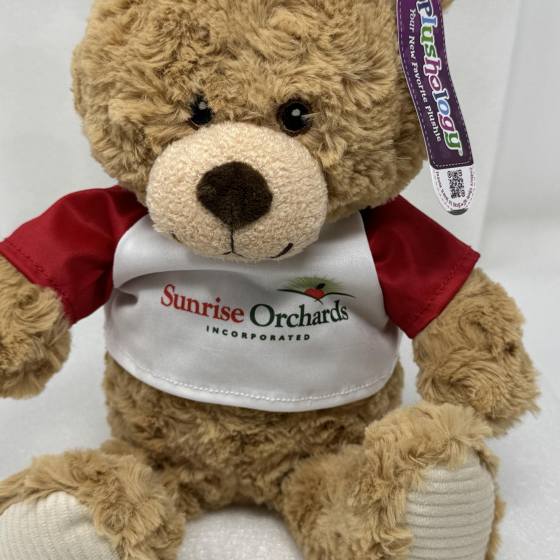 Plush Toy Teddy Bear-9"