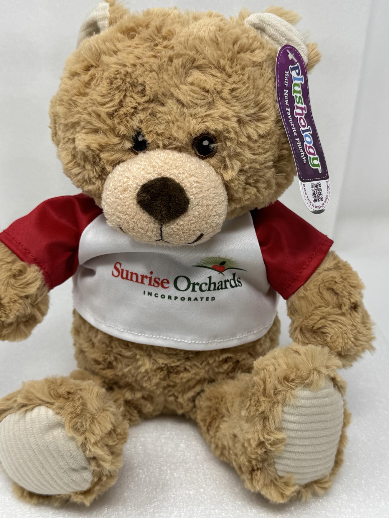 Plush Toy Teddy Bear-9"