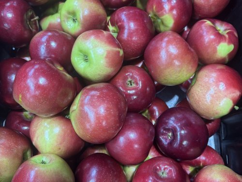 Dandee Red: Sweet &bull; Crisp &bull; Juicy