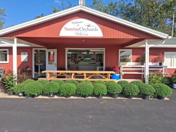 MUMS HAVE ARRIVED at Sunrise Orchards at Hillcrest