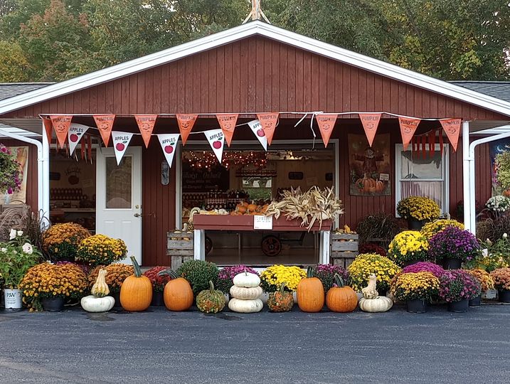 Sunrise Orchards featured on MSN!