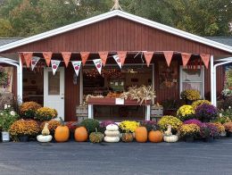 Sunrise Orchards featured on MSN!